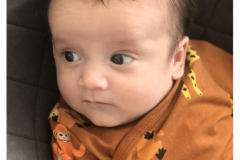enzo_01