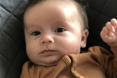 milo_01
